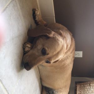 Meet your Posher, Mary